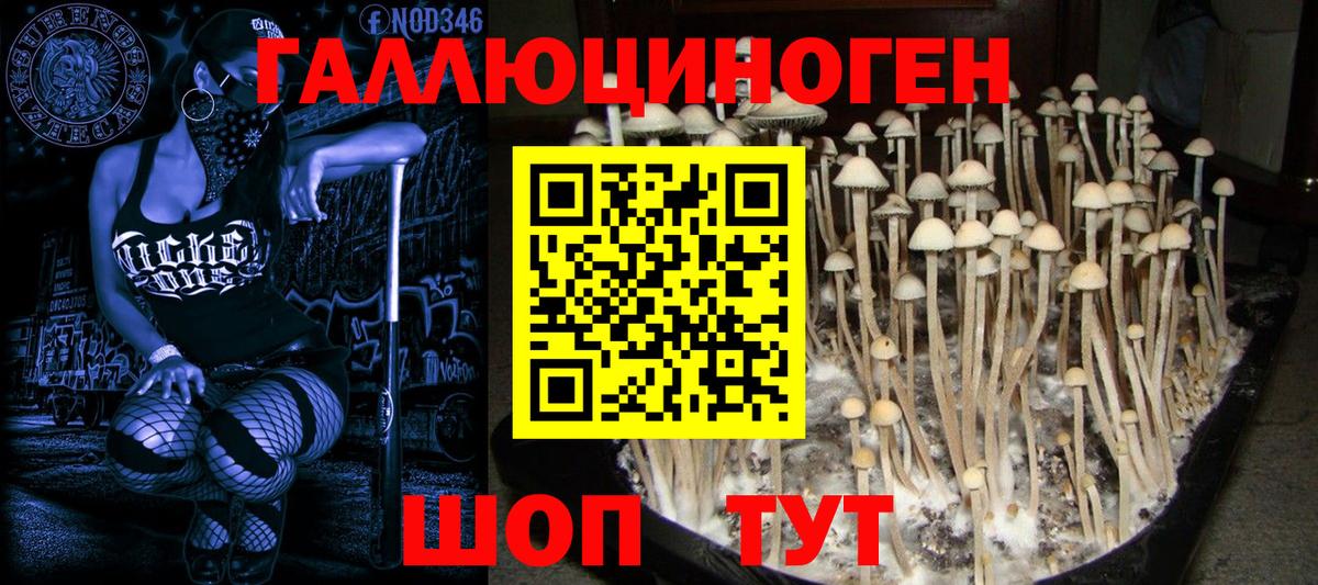 Галлюциногенные грибы Magic Shrooms Сегежа